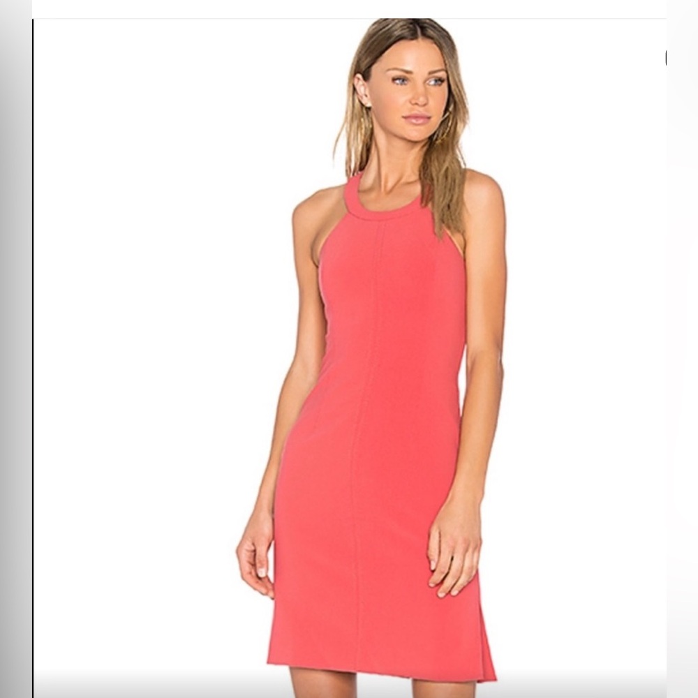 Elizabeth and James Dress in Color Cidar